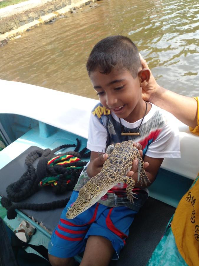 Star Home Stay Bentota Bagian luar foto