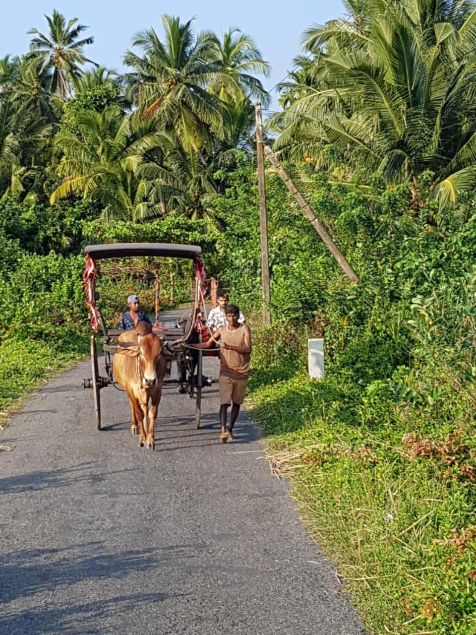 Star Home Stay Bentota Bagian luar foto